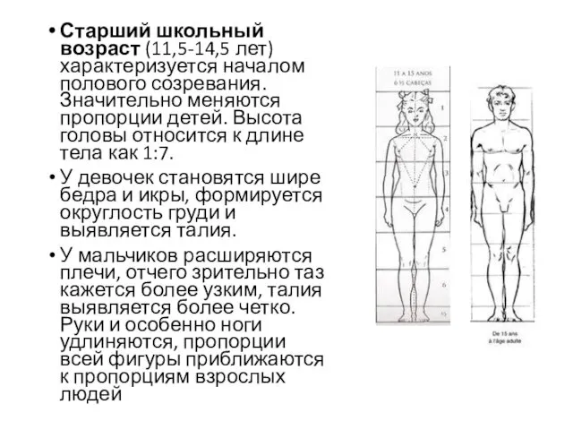 Старший школьный возраст (11,5-14,5 лет) характеризуется началом полового созревания. Значительно меняются