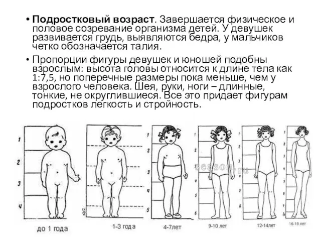 Подростковый возраст. Завершается физическое и половое созревание организма детей. У девушек