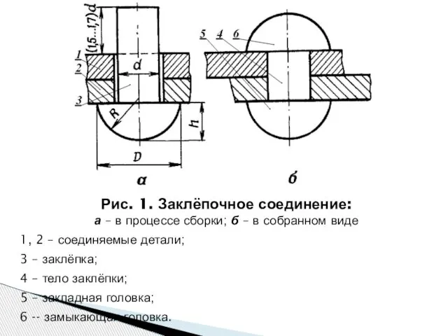 Рис. 1. Заклёпочное соединение: а – в процессе сборки; б –