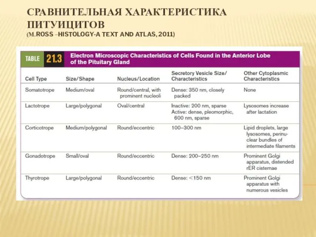 СРАВНИТЕЛЬНАЯ ХАРАКТЕРИСТИКА ПИТУИЦИТОВ (M.ROSS –HISTOLOGY-A TEXT AND ATLAS, 2011)