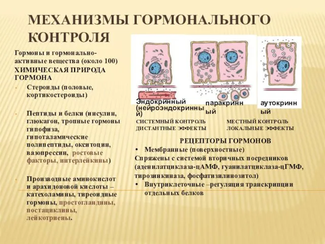 МЕХАНИЗМЫ ГОРМОНАЛЬНОГО КОНТРОЛЯ Гормоны и гормонально- активные вещества (около 100) ХИМИЧЕСКАЯ