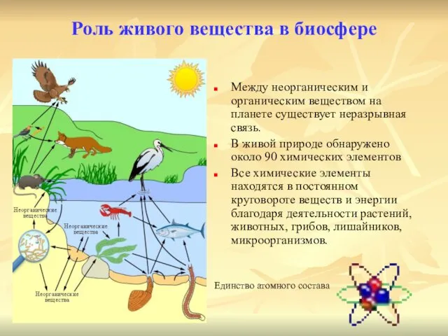 Роль живого вещества в биосфере Между неорганическим и органическим веществом на