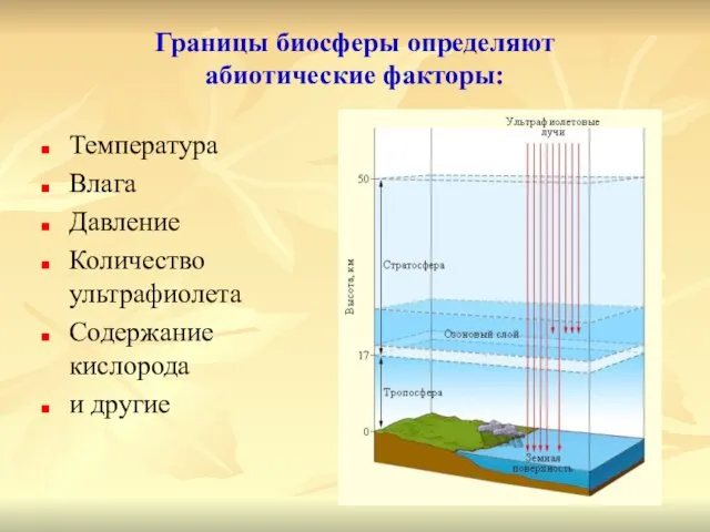 Границы биосферы определяют абиотические факторы: Температура Влага Давление Количество ультрафиолета Содержание кислорода и другие