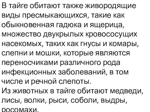 В тайге обитают также живородящие виды пресмыкающихся, такие как обыкновенная гадюка