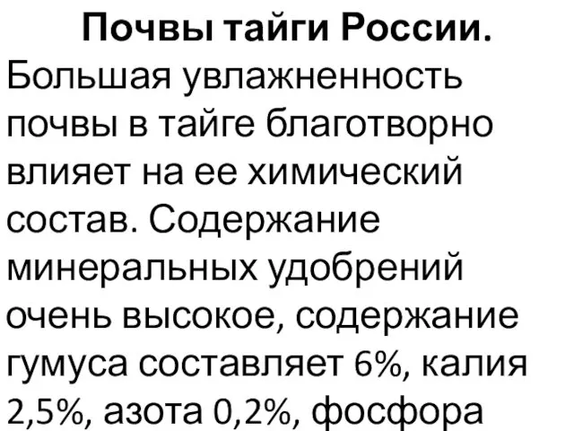 Почвы тайги России. Большая увлажненность почвы в тайге благотворно влияет на