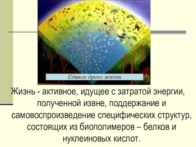 Жизнь - активное, идущее с затратой энергии, полученной извне, поддержание и