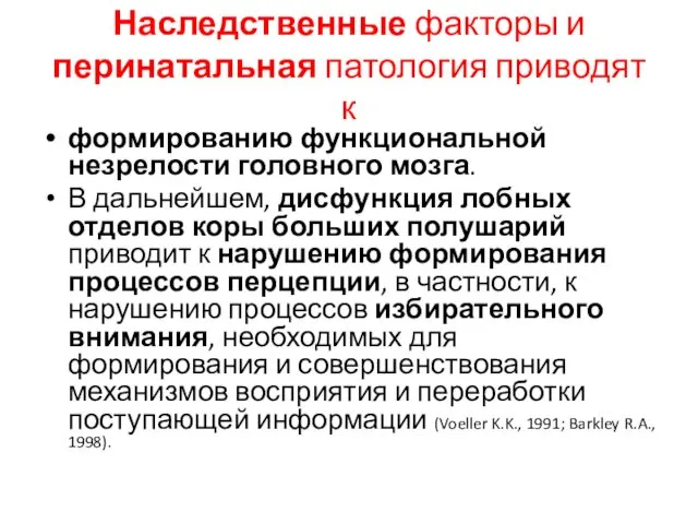 Наследственные факторы и перинатальная патология приводят к формированию функциональной незрелости головного