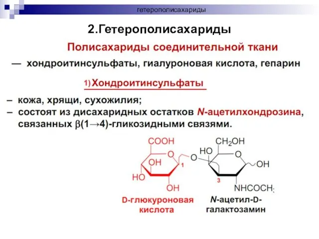 гетерополисахариды 2.Гетерополисахариды