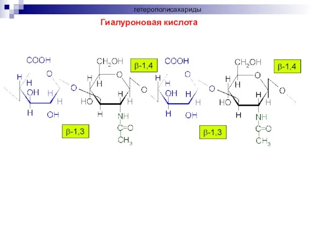 Гиалуроновая кислота гетерополисахариды