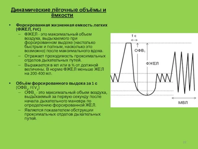 Динамические лёгочные объёмы и ёмкости Форсированная жизненная емкость легких (ФЖЕЛ, FVC)