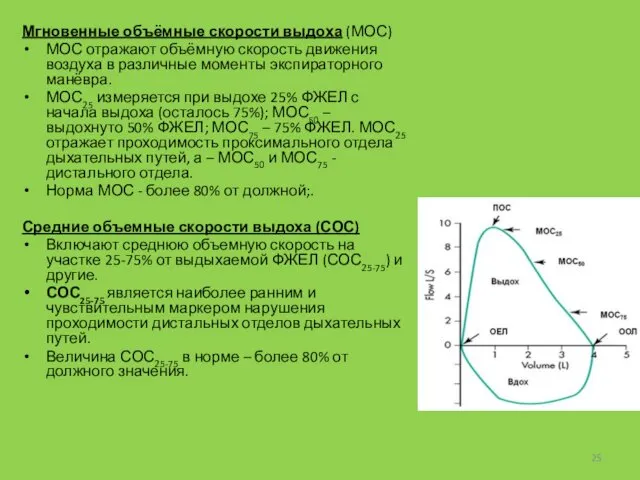 Мгновенные объёмные скорости выдоха (МОС) МОС отражают объёмную скорость движения воздуха