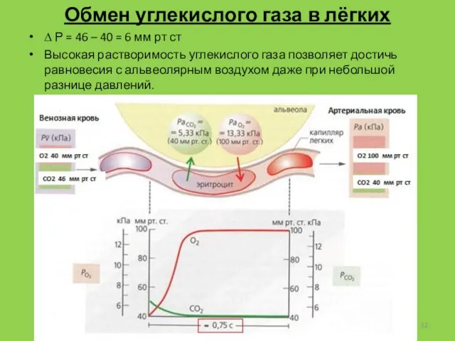 Обмен углекислого газа в лёгких ∆ Р = 46 – 40