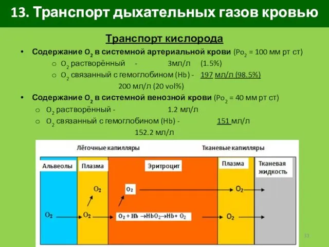 13. Транспорт дыхательных газов кровью Транспорт кислорода Содержание O2 в системной