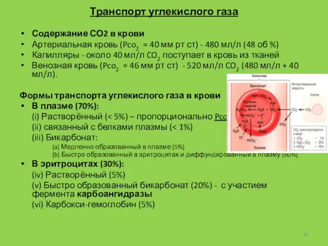 Транспорт углекислого газа Содержание СО2 в крови Артериальная кровь (Pco2 =