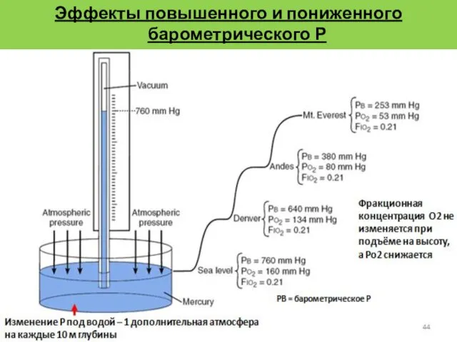 Эффекты повышенного и пониженного барометрического Р