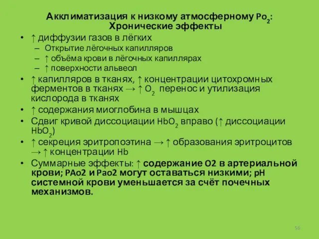 Акклиматизация к низкому атмосферному Po2: Хронические эффекты ↑ диффузии газов в