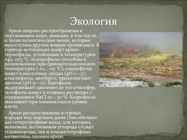 Экология Археи широко распространены в окружающем мире, занимая, в том числе,