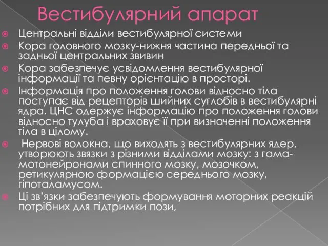 Вестибулярний апарат Центральні відділи вестибулярної системи Кора головного мозку-нижня частина передньої