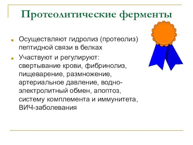 Протеолитические ферменты Осуществляют гидролиз (протеолиз) пептидной связи в белках Участвуют и