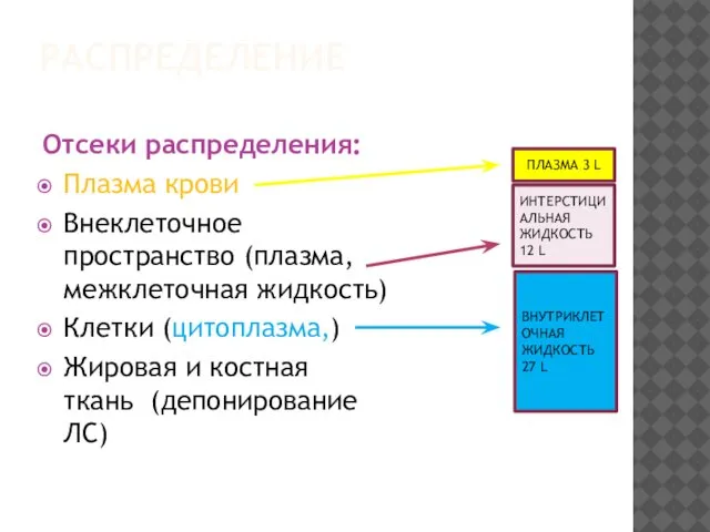 РАСПРЕДЕЛЕНИЕ Отсеки распределения: Плазма крови Внеклеточное пространство (плазма, межклеточная жидкость) Клетки