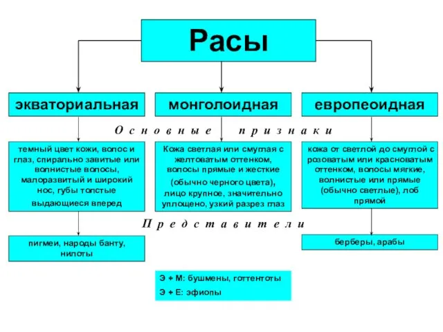 Расы