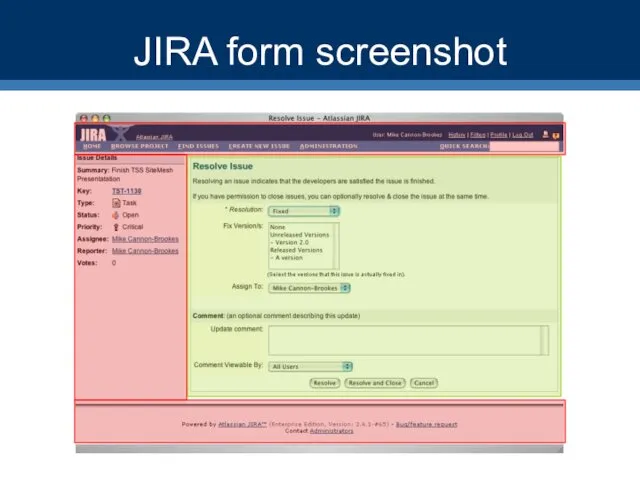 JIRA form screenshot