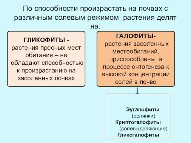 По способности произрастать на почвах с различным солевым режимом растения делят