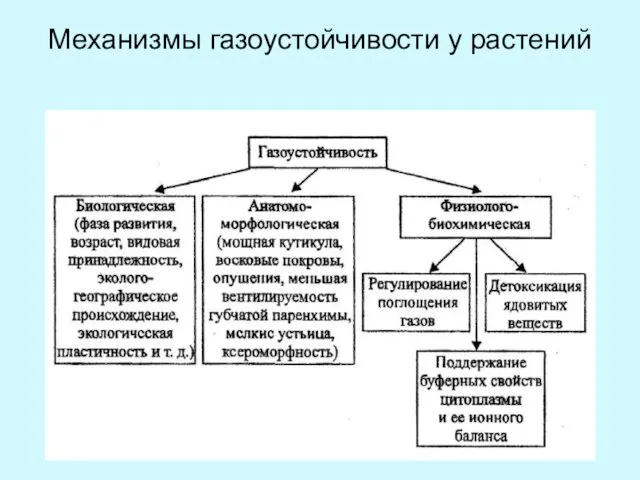 Механизмы газоустойчивости у растений