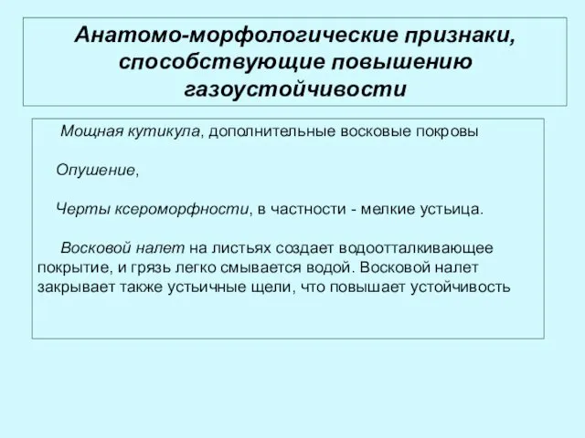 Анатомо-морфологические признаки, способствующие повышению газоустойчивости Мощная кутикула, дополнительные восковые покровы Опушение,