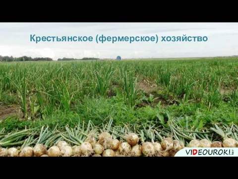 Крестьянское (фермерское) хозяйство