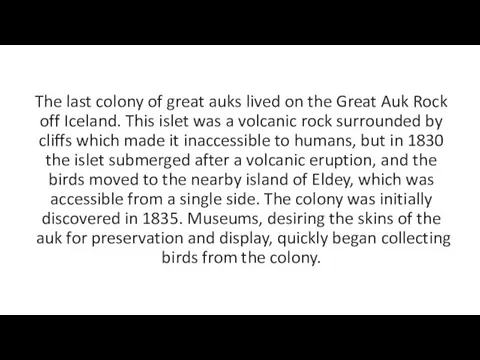 The last colony of great auks lived on the Great Auk