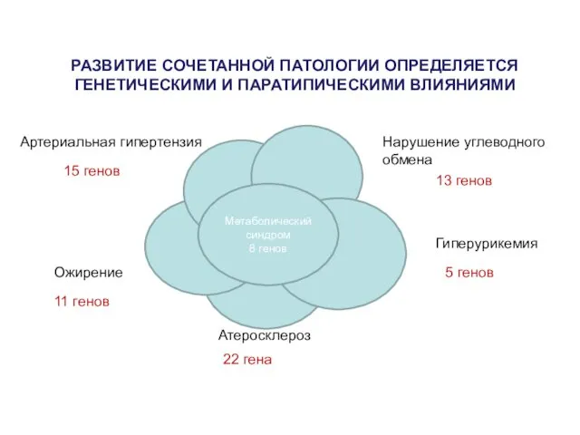 РАЗВИТИЕ СОЧЕТАННОЙ ПАТОЛОГИИ ОПРЕДЕЛЯЕТСЯ ГЕНЕТИЧЕСКИМИ И ПАРАТИПИЧЕСКИМИ ВЛИЯНИЯМИ Артериальная гипертензия Нарушение