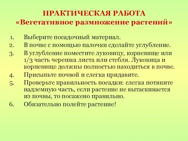 ПРАКТИЧЕСКАЯ РАБОТА «Вегетативное размножение растений» Выберите посадочный материал. В почве с