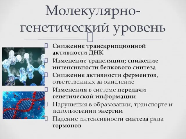 Снижение транскрипционной активности ДНК Изменение трансляции; снижение интенсивности белкового синтеза Снижение