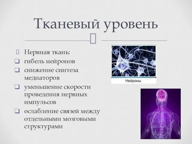 Нервная ткань: гибель нейронов снижение синтеза медиаторов уменьшение скорости проведения нервных