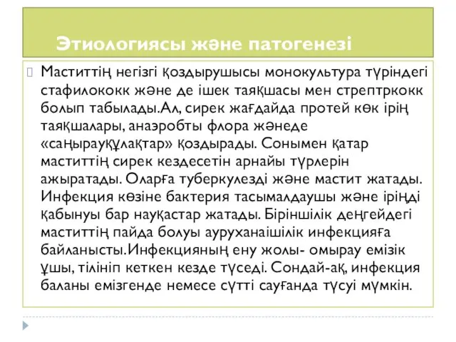 Этиологиясы және патогенезі Маститтің негізгі қоздырушысы монокультура түріндегі стафилококк және де