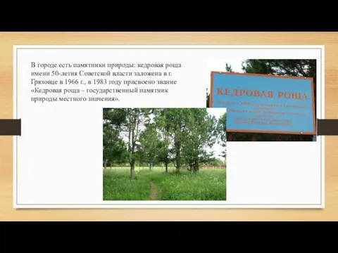 В городе есть памятники природы: кедровая роща имени 50-летия Советской власти