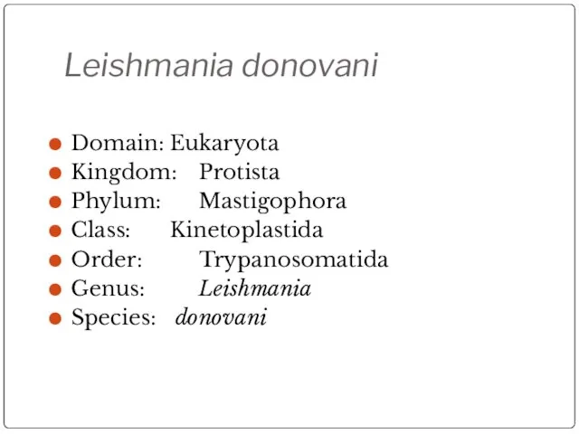 Leishmania donovani Domain: Eukaryota Kingdom: Protista Phylum: Mastigophora Class: Kinetoplastida Order: Trypanosomatida Genus: Leishmania Species: donovani