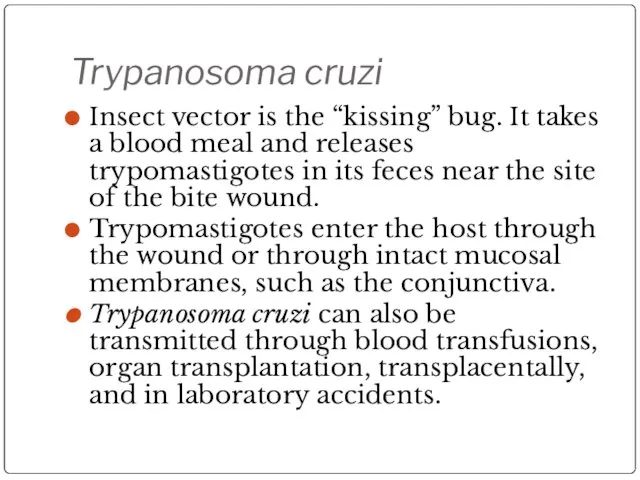 Trypanosoma cruzi Insect vector is the “kissing” bug. It takes a