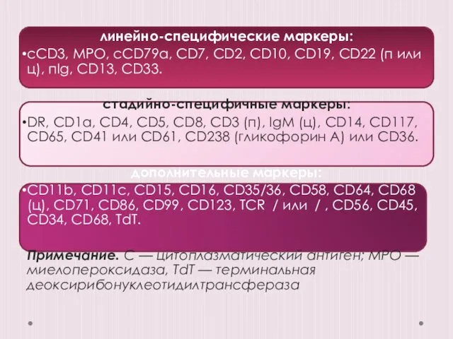 линейно-специфические маркеры: сCD3, MPO, сCD79a, CD7, CD2, CD10, CD19, CD22 (п