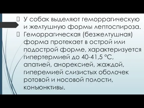 У собак выделяют геморрагическую и желтушную формы лептоспироза. Геморрагическая (безжелтушная) форма