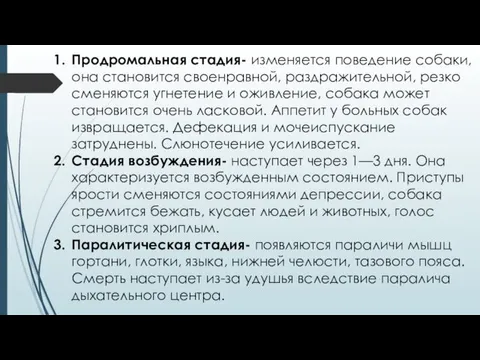 Продромальная стадия- изменяется поведение собаки, она становится своенравной, раздражительной, резко сменяются