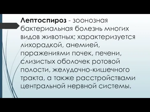 Лептоспироз - зоонозная бактериальная болезнь многих видов животных; характеризуется лихорадкой, анемией,