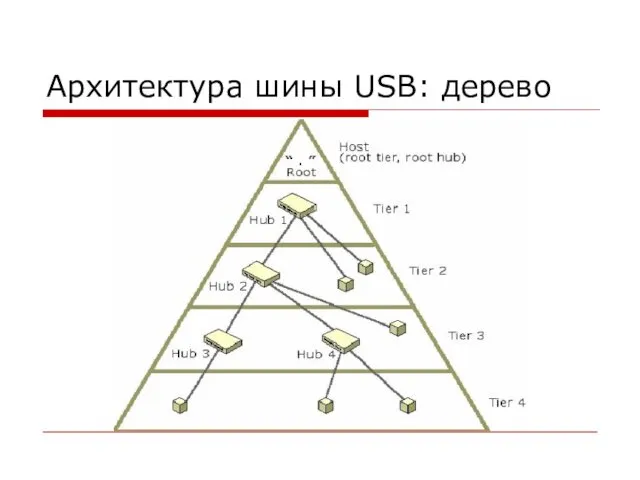 Архитектура шины USB: дерево