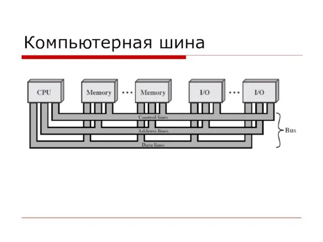 Компьютерная шина