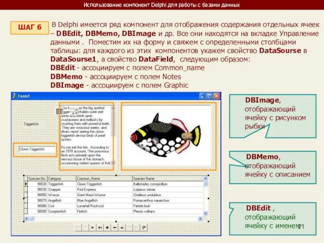 Использование компонент Delphi для работы с базами данных ШАГ 6 В