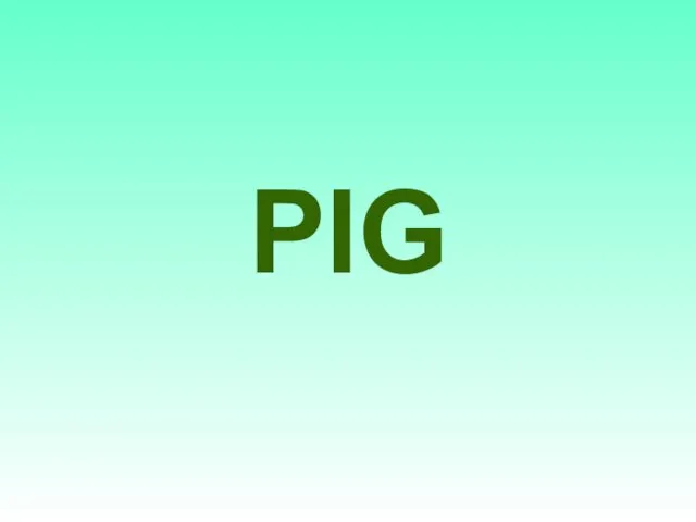 PIG