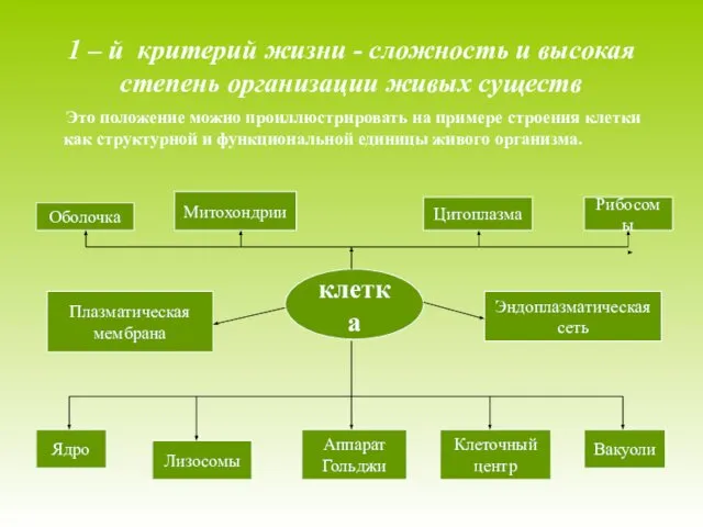 1 – й критерий жизни - сложность и высокая степень организации