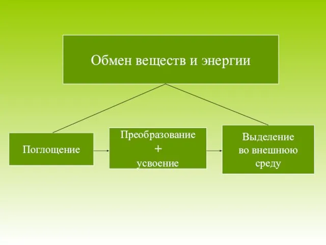 Обмен веществ и энергии Поглощение Преобразование + усвоение Выделение во внешнюю среду