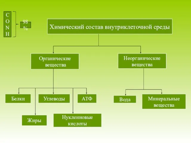 Химический состав внутриклеточной среды Органические вещества Неорганические вещества Белки Углеводы АТФ